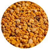granules